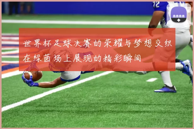 世界杯足球决赛的荣耀与梦想交织在绿茵场上展现的精彩瞬间