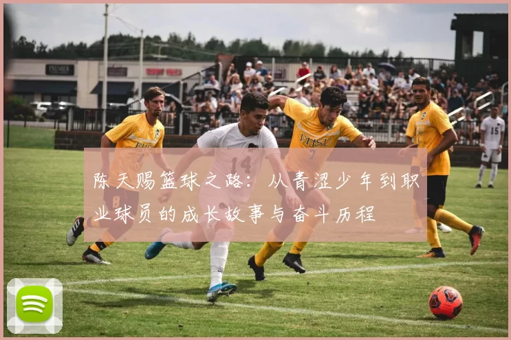 陈天赐篮球之路：从青涩少年到职业球员的成长故事与奋斗历程